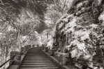 IR OR City stairs toned